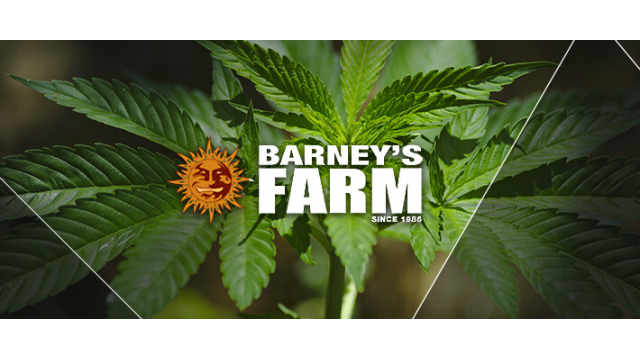 Las mejores variedades de Barneys Farm